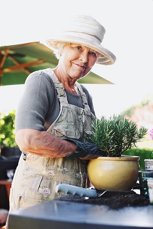 TStress Soars when You Age, So Fight Back through Gardening