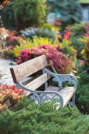 Allowing Gardening to Calm Your Senses