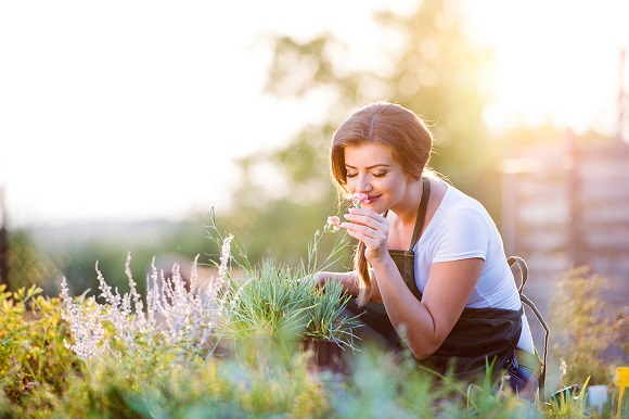 Soak Up Nature’s Stress Diminishing Vitamins when Gardening Outdoors