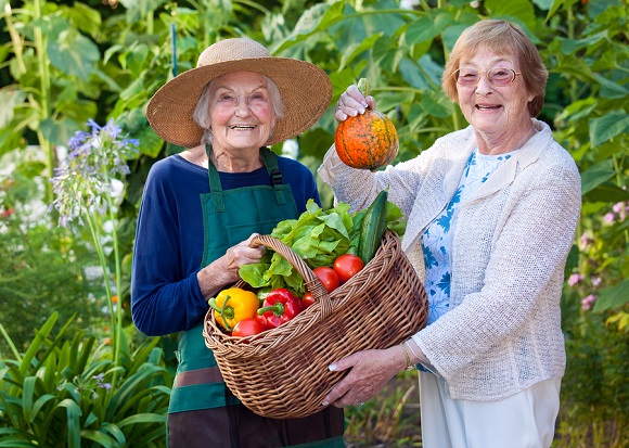 Therapeutic Gardens for the Elderly