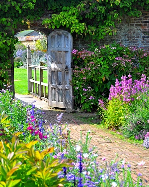 Creative Pathways to Access Your Garden