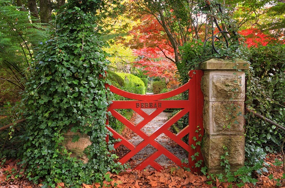 Inspire Yourself and Others with a Healing Garden Landscape